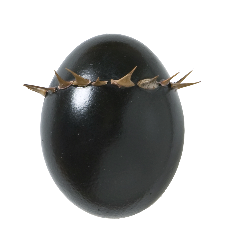Uovomondo nero corona di spine